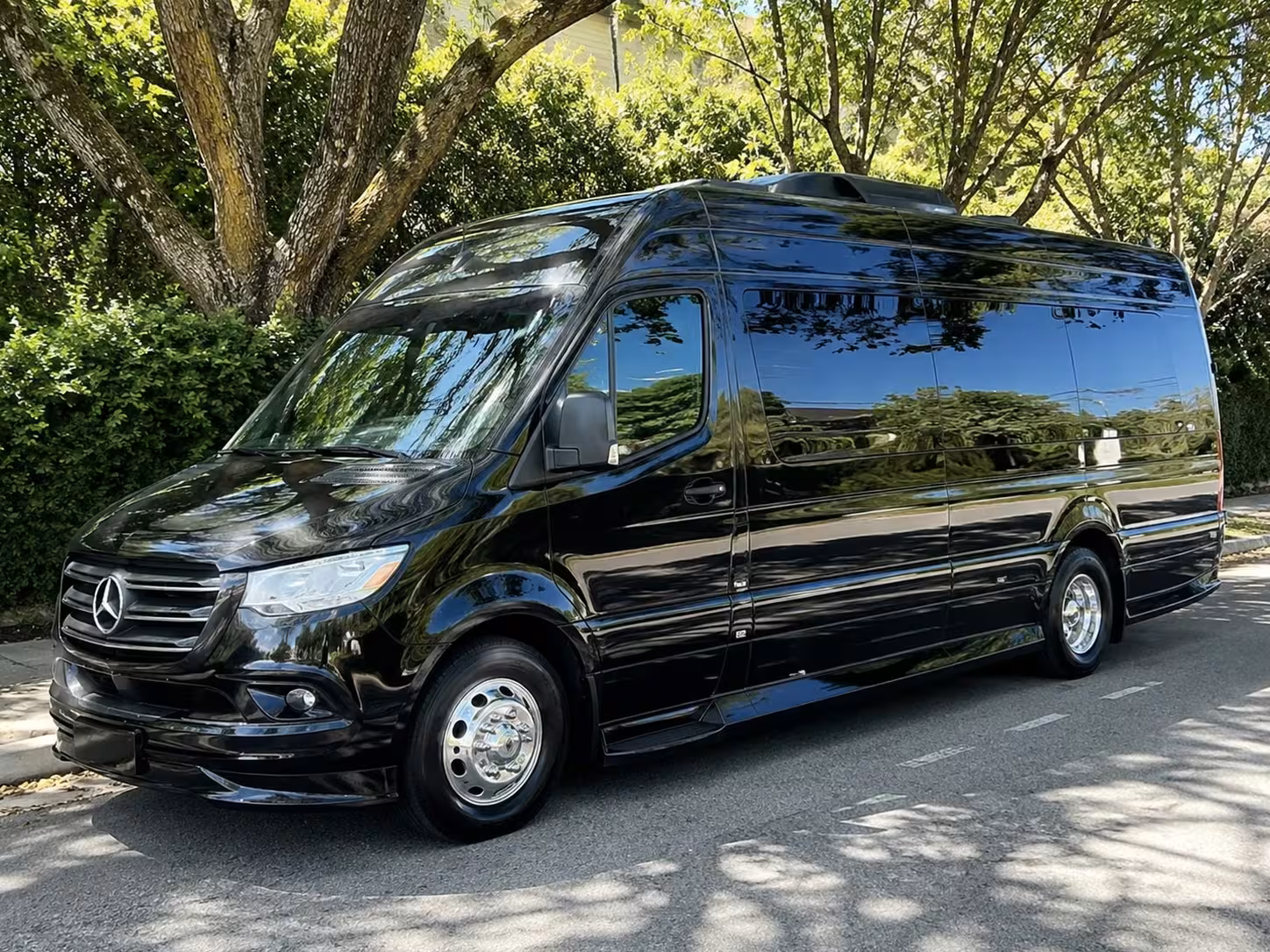 san clemente sprinter van rental with driver