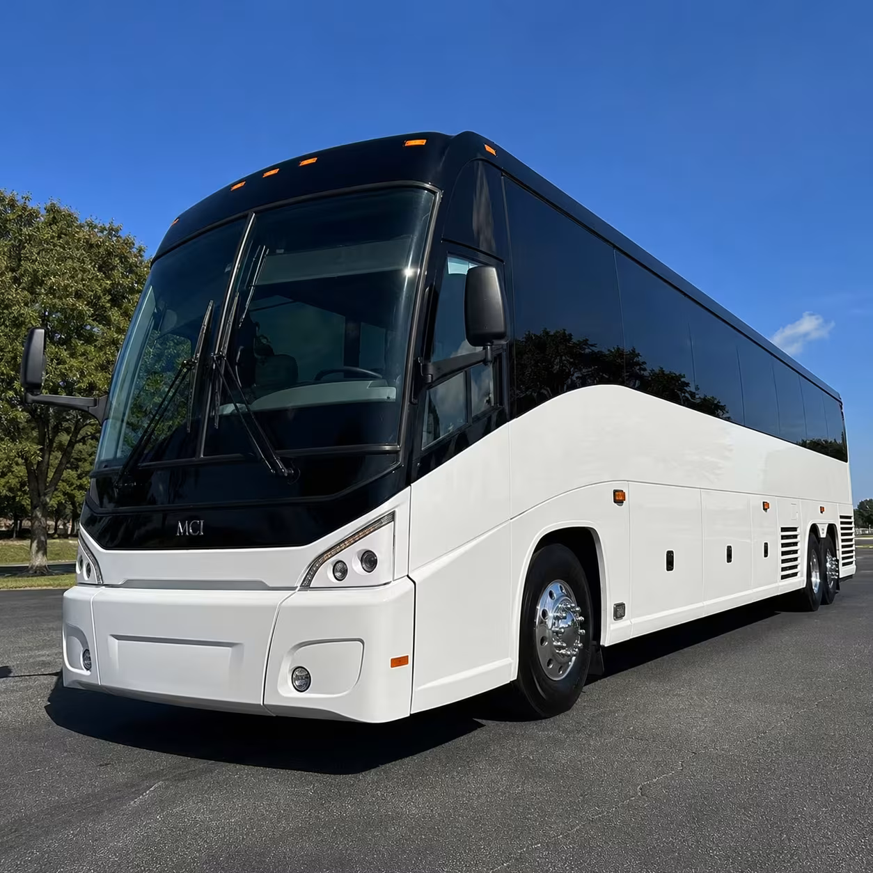 team building and off site charter bus rentals in san clemente